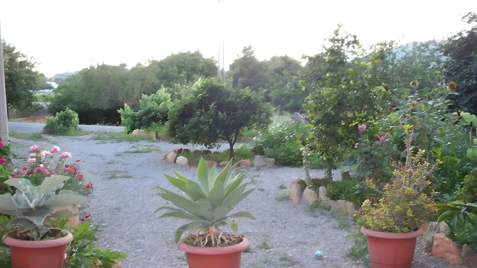 Casa de hóspedes Pension Las 3 Golondrinas Santa Eulária des Riu Espanha
