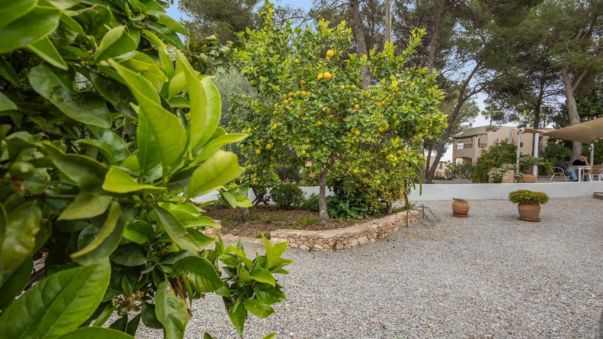 Casa de hóspedes Pension Las 3 Golondrinas Santa Eulária des Riu